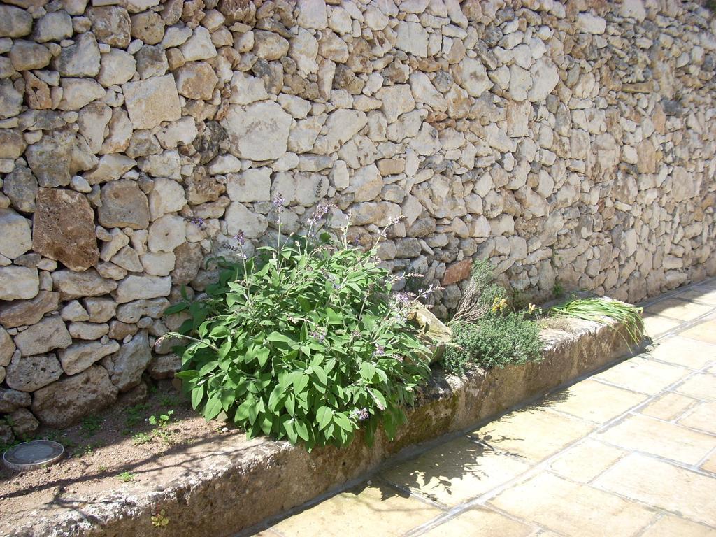 B&B Le Due Corti Martignano Bagian luar foto