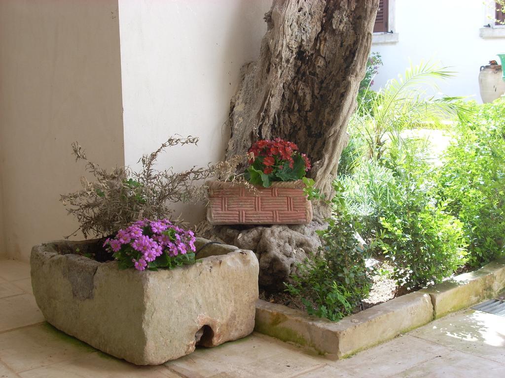 B&B Le Due Corti Martignano Bagian luar foto